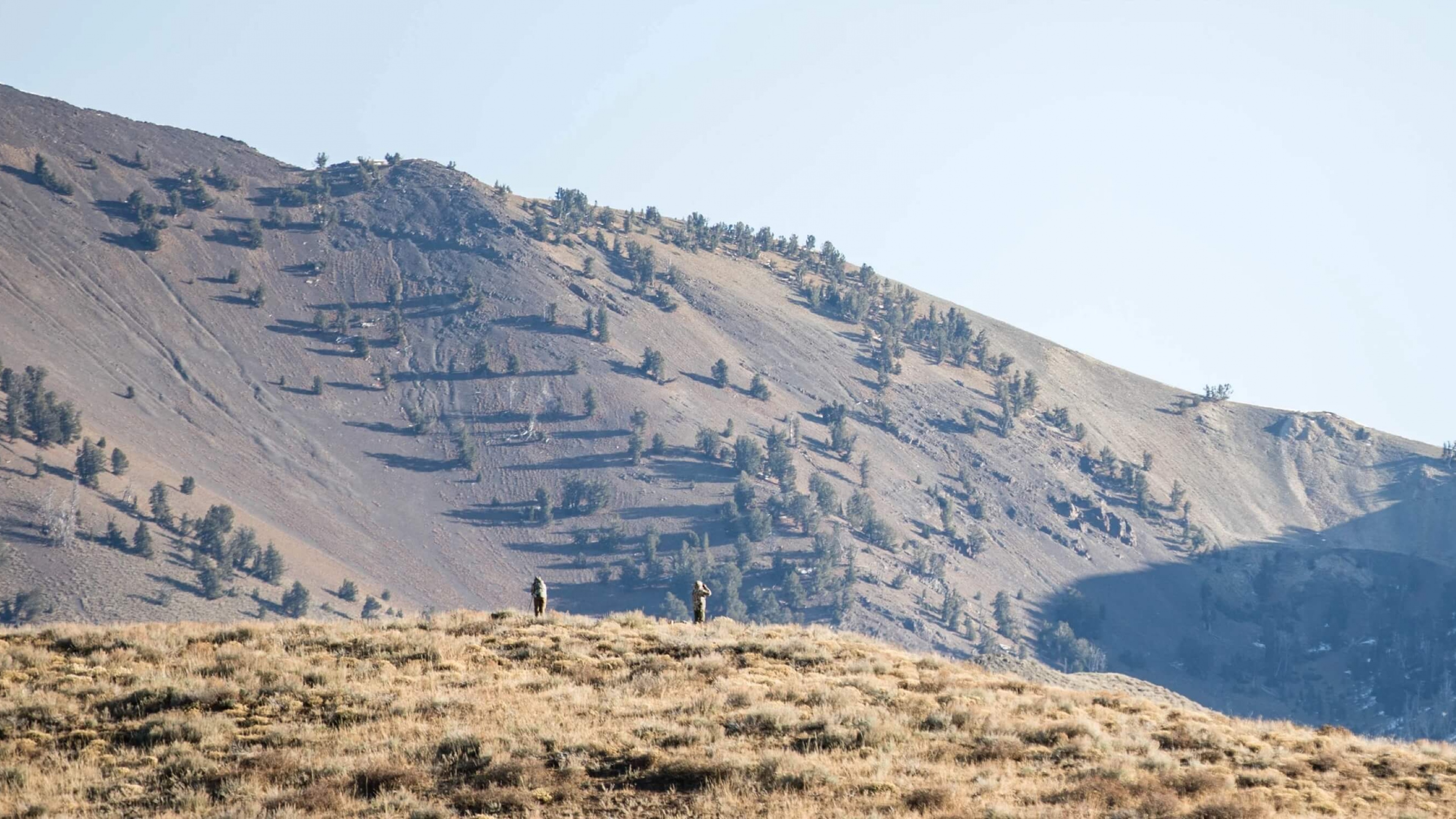 Guided Hunting in Idaho Idaho guided elk hunts